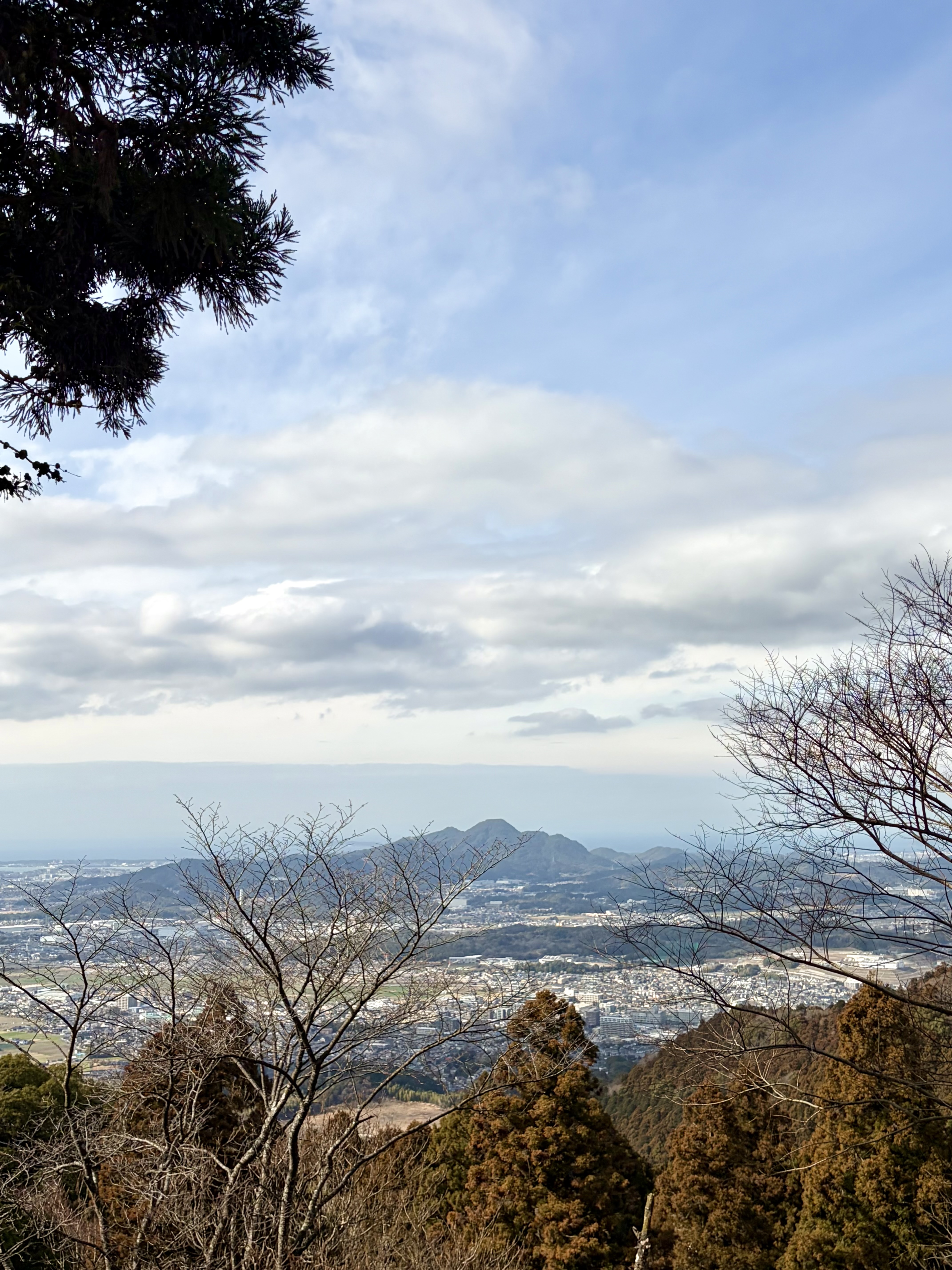 吉井